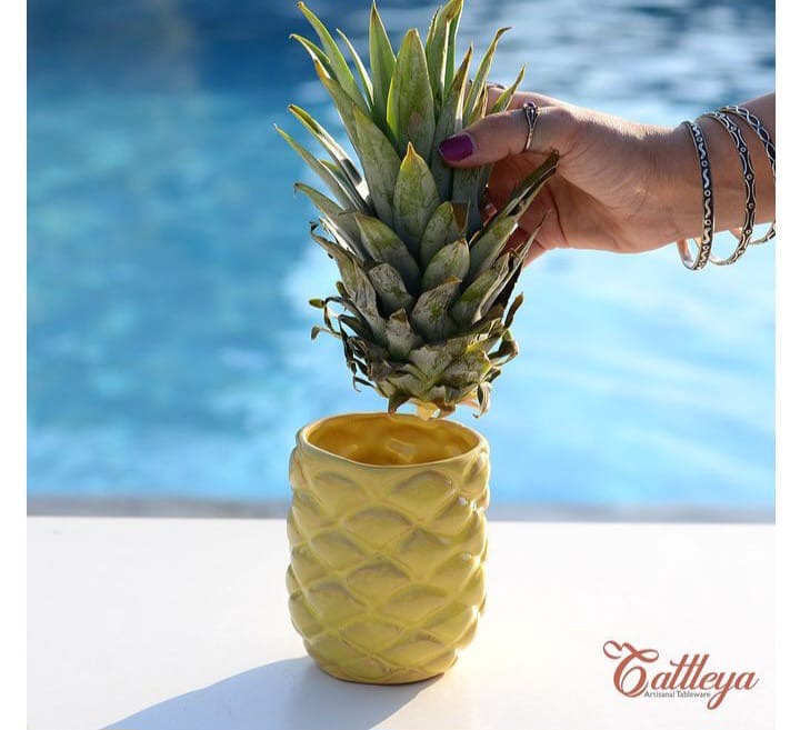 Pyne Cups Piña cup – cattleya-eg